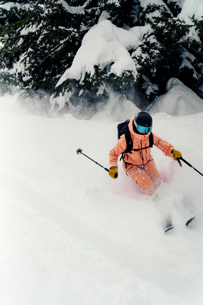 Women's MTN-X Panorama 3L Jacket