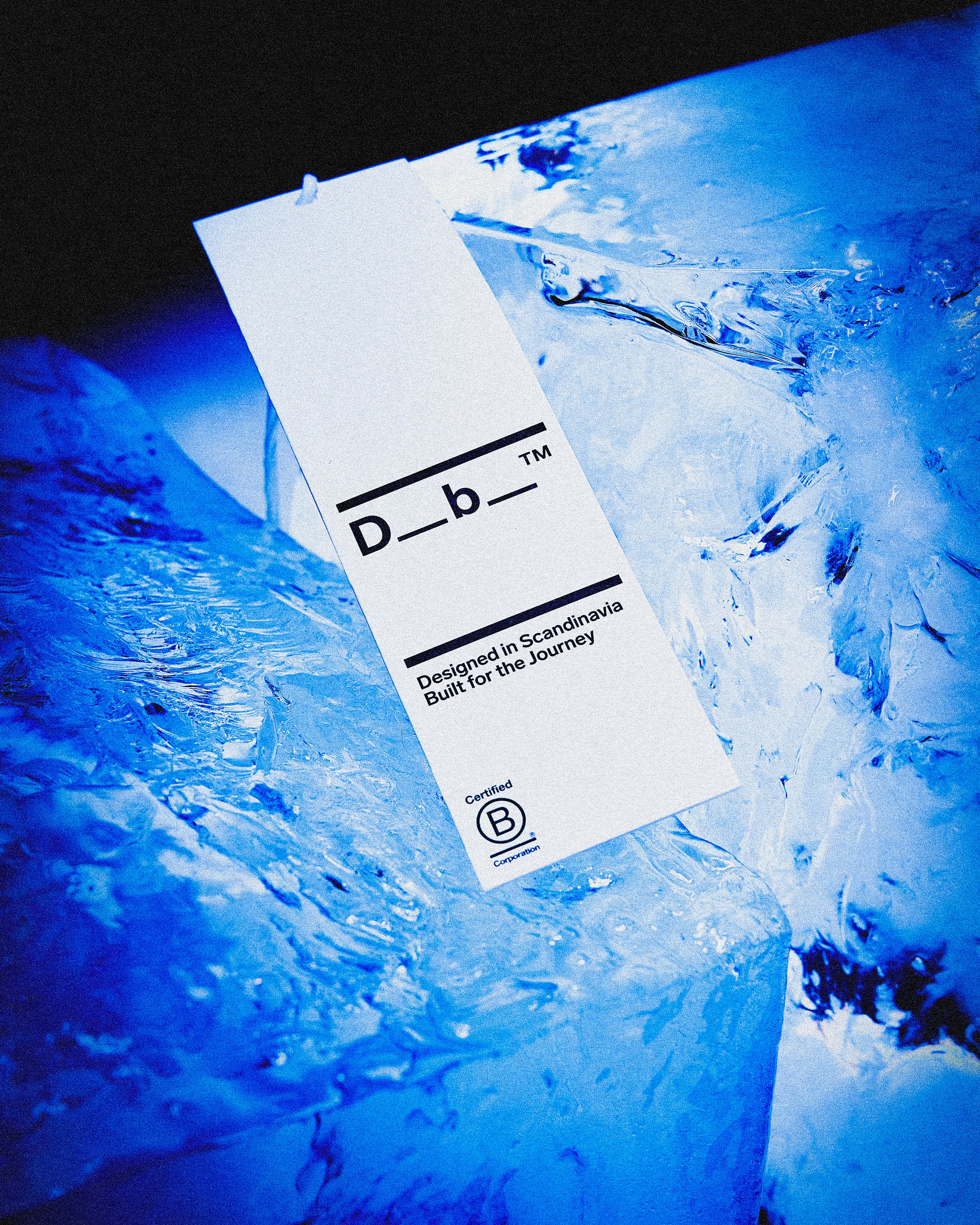 Sac à Ski Pro DB X Orage